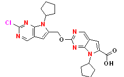 Synveda Pharmaceuticals in Ragannaguda, Friends Colony,Hyderabad