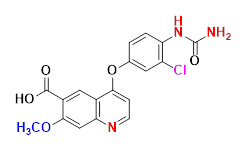 Synveda Pharmaceuticals in Ragannaguda, Friends Colony,Hyderabad