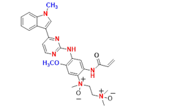 Synveda Pharmaceuticals in Ragannaguda, Friends Colony,Hyderabad