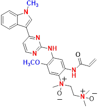 Synveda Pharmaceuticals in Ragannaguda, Friends Colony,Hyderabad