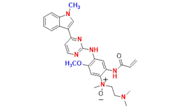 Synveda Pharmaceuticals in Ragannaguda, Friends Colony,Hyderabad