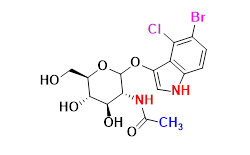 Synveda Pharmaceuticals in Ragannaguda, Friends Colony,Hyderabad