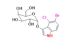 Synveda Pharmaceuticals in Ragannaguda, Friends Colony,Hyderabad