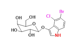 Synveda Pharmaceuticals in Ragannaguda, Friends Colony,Hyderabad