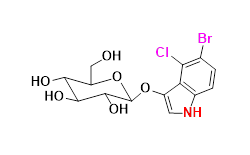 Synveda Pharmaceuticals in Ragannaguda, Friends Colony,Hyderabad
