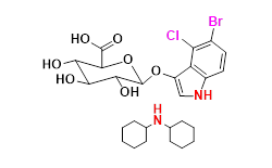 Synveda Pharmaceuticals in Ragannaguda, Friends Colony,Hyderabad
