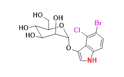 Synveda Pharmaceuticals in Ragannaguda, Friends Colony,Hyderabad