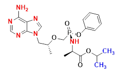 Synveda Pharmaceuticals in Ragannaguda, Friends Colony,Hyderabad