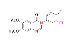 Synveda Pharmaceuticals in Ragannaguda, Friends Colony,Hyderabad