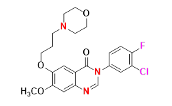 Synveda Pharmaceuticals in Ragannaguda, Friends Colony,Hyderabad