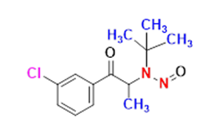 Synveda Pharmaceuticals in Ragannaguda, Friends Colony,Hyderabad