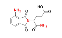 Synveda Pharmaceuticals in Ragannaguda, Friends Colony,Hyderabad
