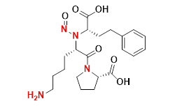Synveda Pharmaceuticals in Ragannaguda, Friends Colony,Hyderabad