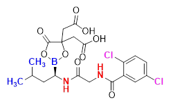 Synveda Pharmaceuticals in Ragannaguda, Friends Colony,Hyderabad