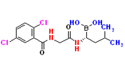 Synveda Pharmaceuticals in Ragannaguda, Friends Colony,Hyderabad