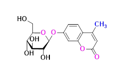 Synveda Pharmaceuticals in Ragannaguda, Friends Colony,Hyderabad