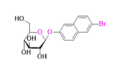 Synveda Pharmaceuticals in Ragannaguda, Friends Colony,Hyderabad